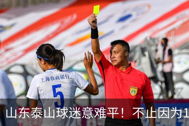 山东泰山球迷意难平！不止因为1-2河南队，更多在于以下五点！